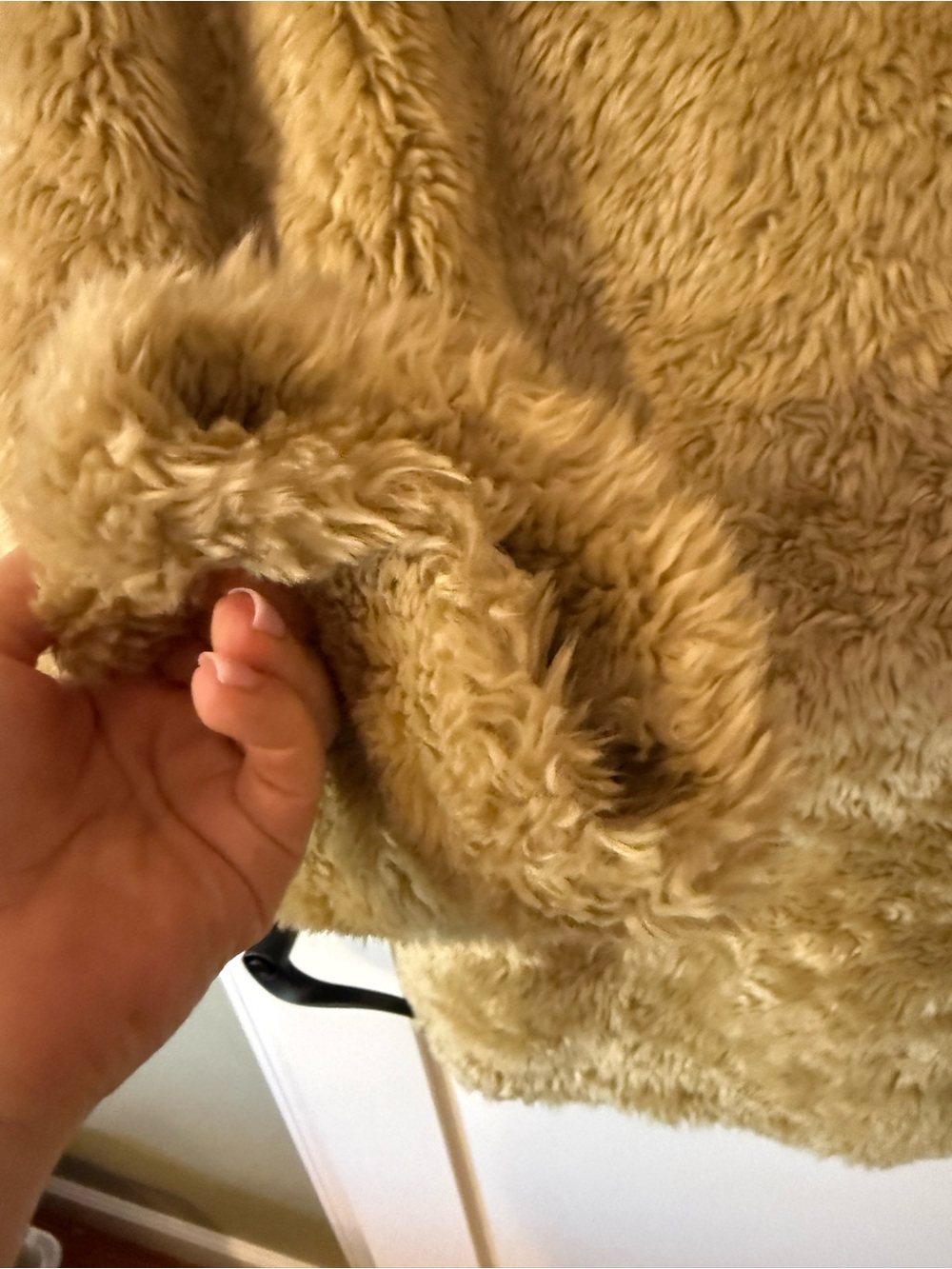 Proenza Schouler Cream Teddy Jacket - Picture 5 of 6